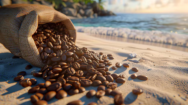 roasted-coffee-beans-sunny-beach-scene_1171540-15713